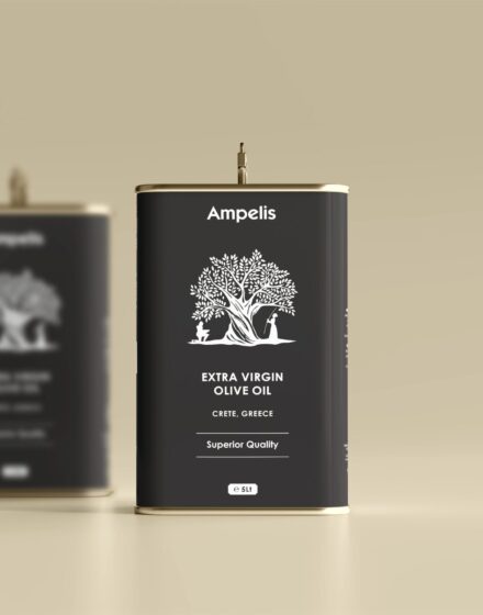 Σχεδιασμός ηλεκτρονικής μακέτας για εκτύπωση σε λευκοσίδηρο.
